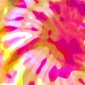 Meet your Posher, Janie